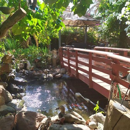 Lotus Turtle Garden Eilat Apartment Luaran gambar