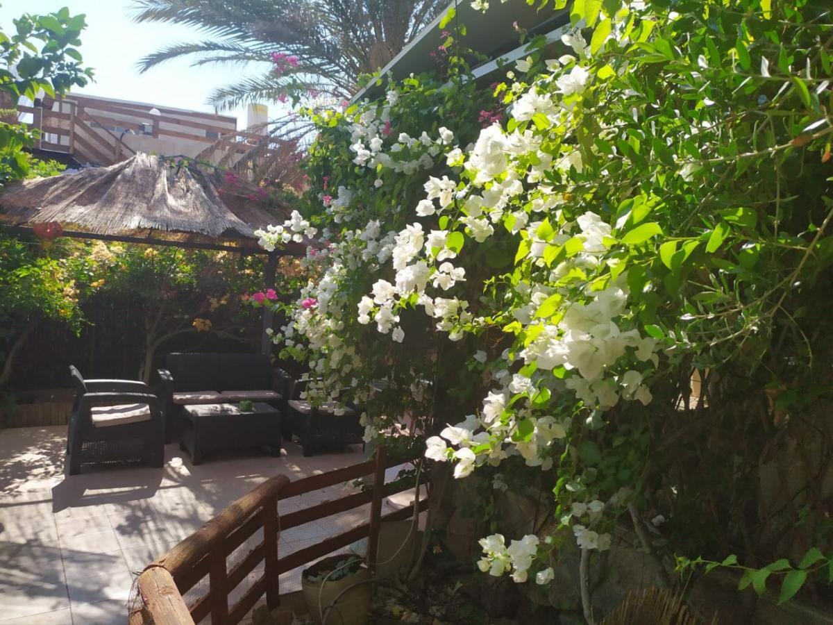 Lotus Turtle Garden Eilat Apartment Luaran gambar