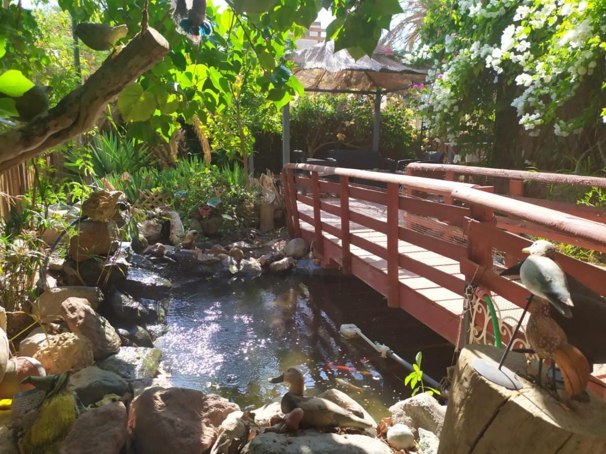 Lotus Turtle Garden Eilat Apartment Luaran gambar