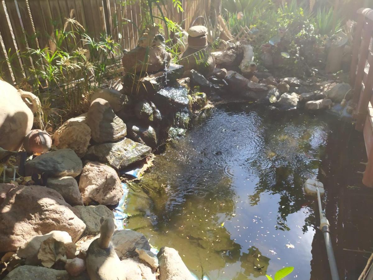 Lotus Turtle Garden Eilat Apartment Luaran gambar