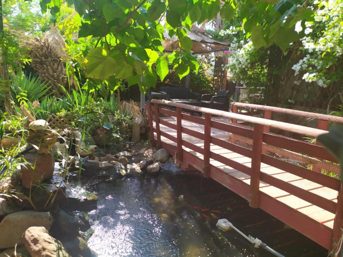 Lotus Turtle Garden Eilat Apartment Luaran gambar